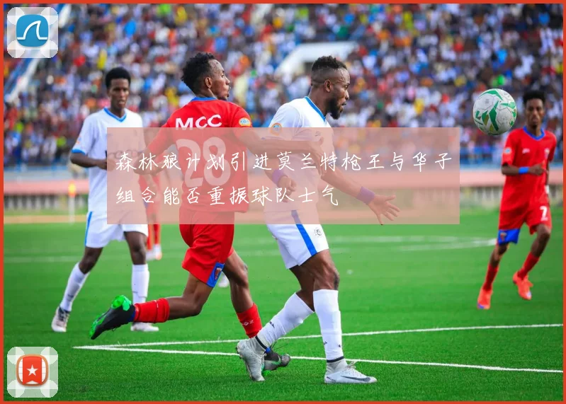 森林狼计划引进莫兰特枪王与华子组合能否重振球队士气