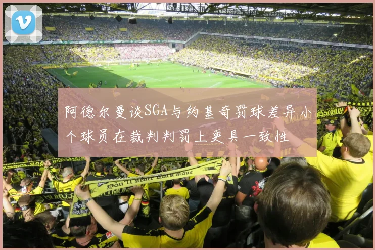 阿德尔曼谈SGA与约基奇罚球差异小个球员在裁判判罚上更具一致性