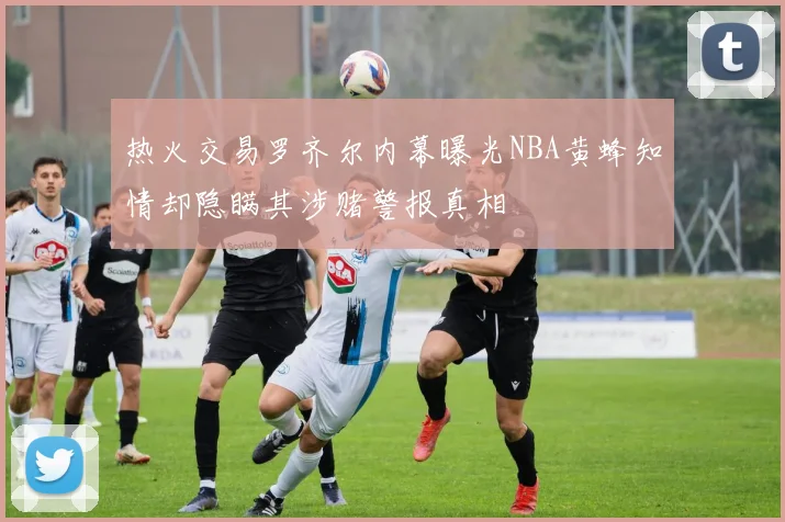 热火交易罗齐尔内幕曝光NBA黄蜂知情却隐瞒其涉赌警报真相